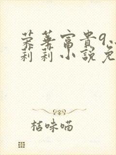 荣华富贵9小王莉莉小说免费阅读