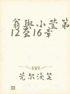 翁与小莹第十部12至16章封面