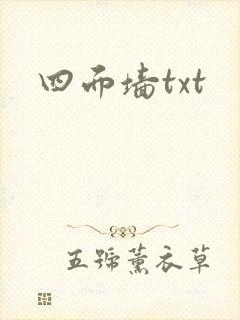 四面墙txt
