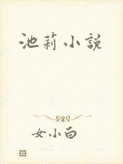 池莉小说