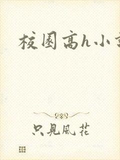 校园高h小说封面