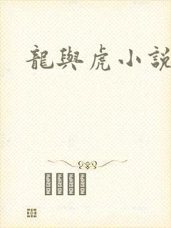 龙与虎小说封面