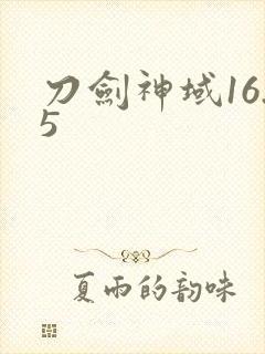 刀剑神域16.5