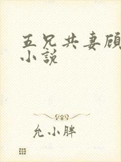 五兄共妻顾心儿小说封面