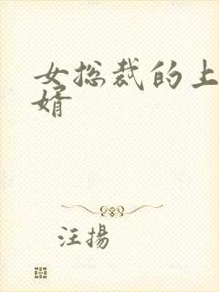 女总裁的上门女婿封面