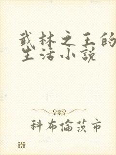 武林之王的退隐生活小说