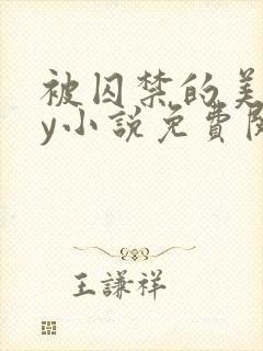 被囚禁的美人by小说免费阅读