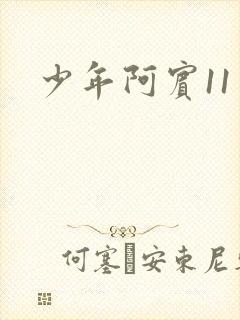 少年阿宾11封面