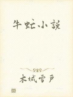 牛虻小说