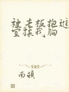 被老板抱进办公室揉我胸