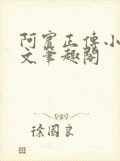 阿宾正传小说全文笔趣阁