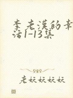 李老汉的幸福生活1-13集