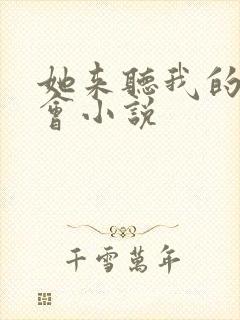 她来听我的演唱会小说封面