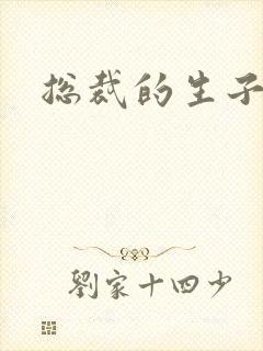 总裁的生子情人