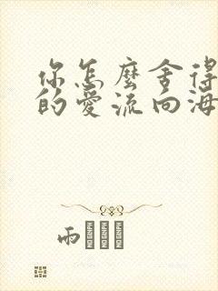 你怎么舍得让我的爱流向海
