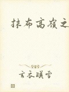 抹布高岭之花封面