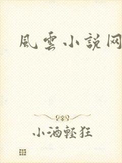 风云小说网封面