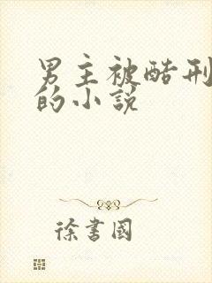 男主被酷刑调教的小说