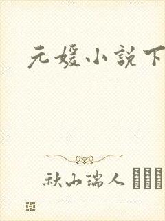 元媛小说下载封面