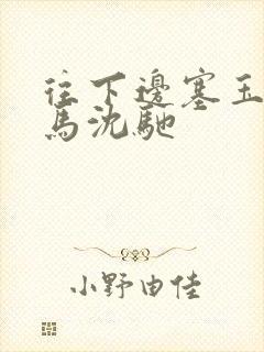 往下边塞玉器骑马沈驰