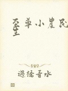 至尊小农民王木生