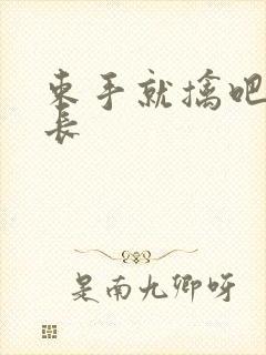 束手就擒吧韩队长