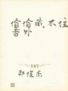 偷偷藏不住新婚番外