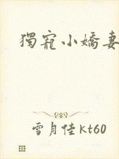 独宠小娇妻封面