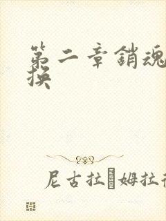 第二章销魂的交换