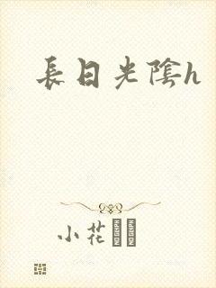 长日光阴h
