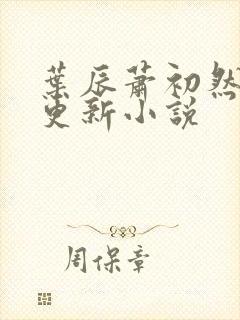 叶辰萧初然最快更新小说