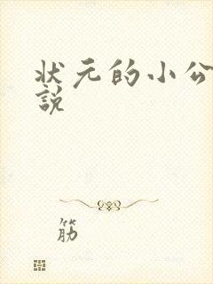 状元的小公主小说