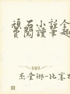 顽石小说全文免费阅读笔趣阁