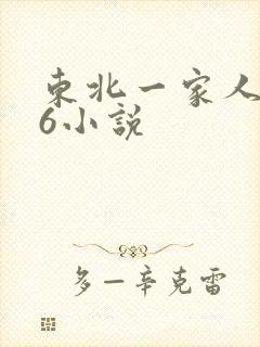 东北一家人1一6小说封面