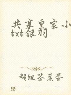 共享皇家小公主txt银羽封面