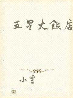 五星大饭店小说