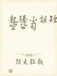龙腾小说短篇航空公司
