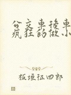 公交车后车座的疯狂的做小