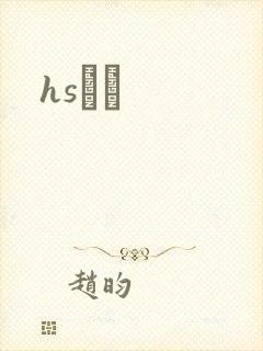 hsС˵封面