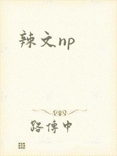 辣文np