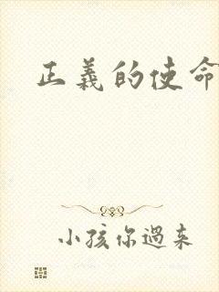 正义的使命小说