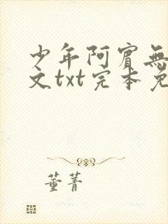 少年阿宾无删全文txt完本免费下载