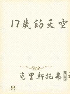 17岁的天空封面