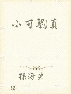 小可刘真封面