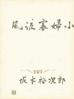 风流寡妇小说封面