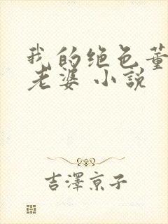 我的绝色董事长老婆 小说封面