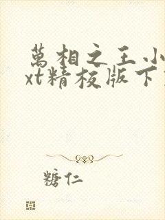 万相之王小说txt精校版下载