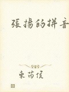 张扬的拼音封面