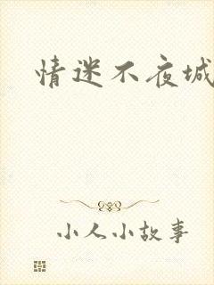 情迷不夜城