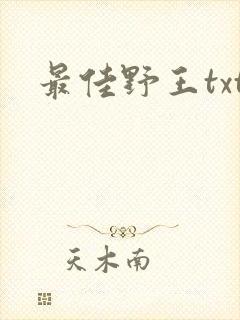 最佳野王txt封面